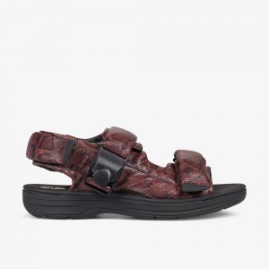 Brown Snake Clarks Martine Rose Mens Men Sandals | 3165LGBTD