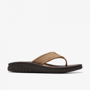 Green Clarks Wesley Men Sandals | 2378TRMAC