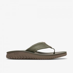 Olive Clarks Wesley Men Sandals | 3104JKOZM