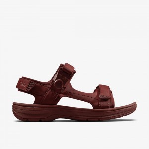 Oxblood Textile Clarks Martine Rose Mens Men Sandals | 3815OBNQC