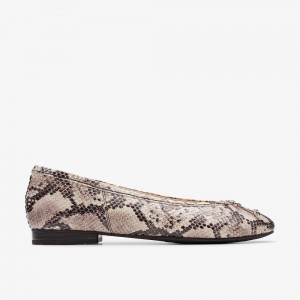 Snake Print Clarks Fawna Lily Women Ballet Flats | 0826PNRAF