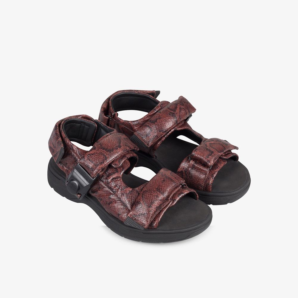 Brown Snake Clarks Martine Rose Mens Men Sandals | 3165LGBTD