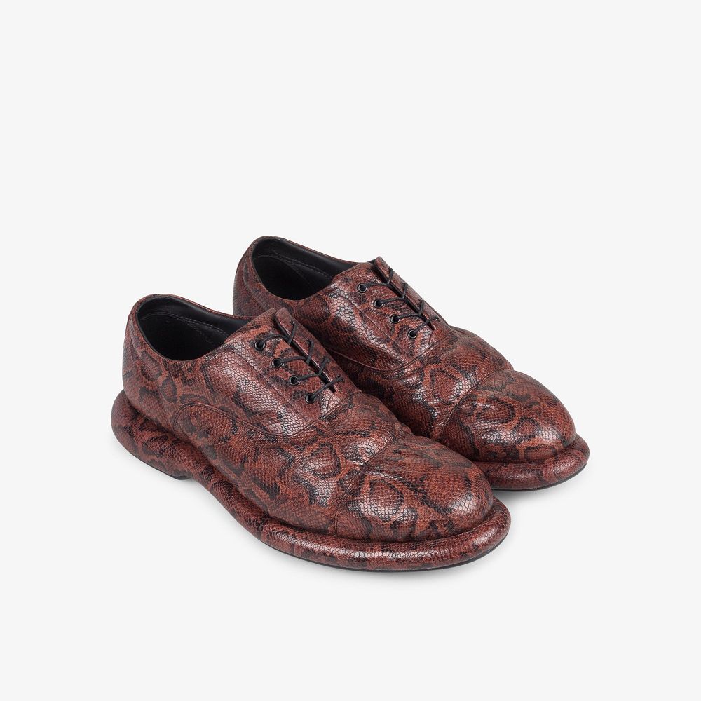 Brown Snake Clarks Martine Rose Mens Men Oxfords | 3267RGJQD