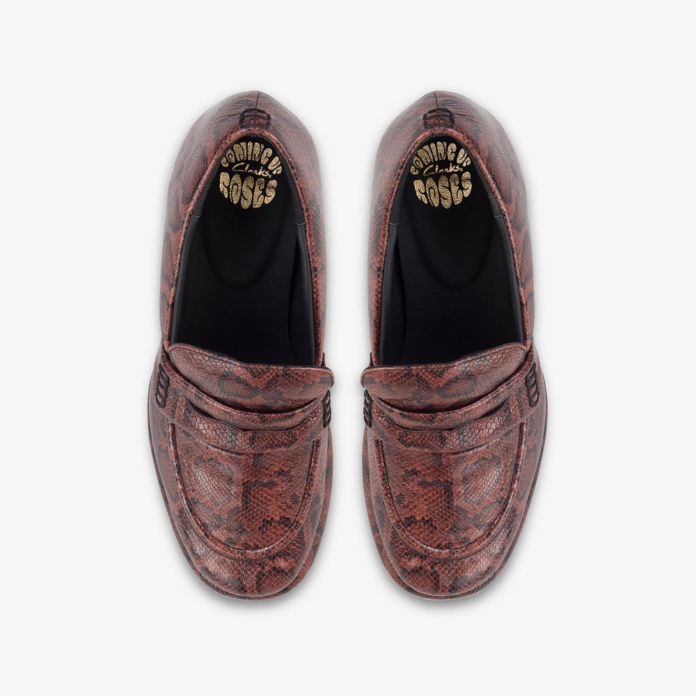 Brown Snake Clarks Martine Rose Women Loafers | 0328TKYEZ