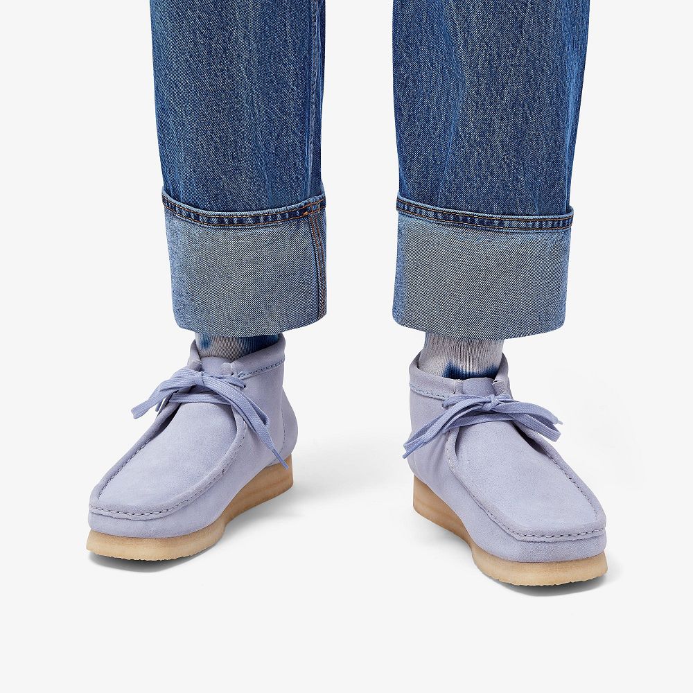 Cloud Grey Suede Clarks Wallabee Men Boots | 3685AHWDX