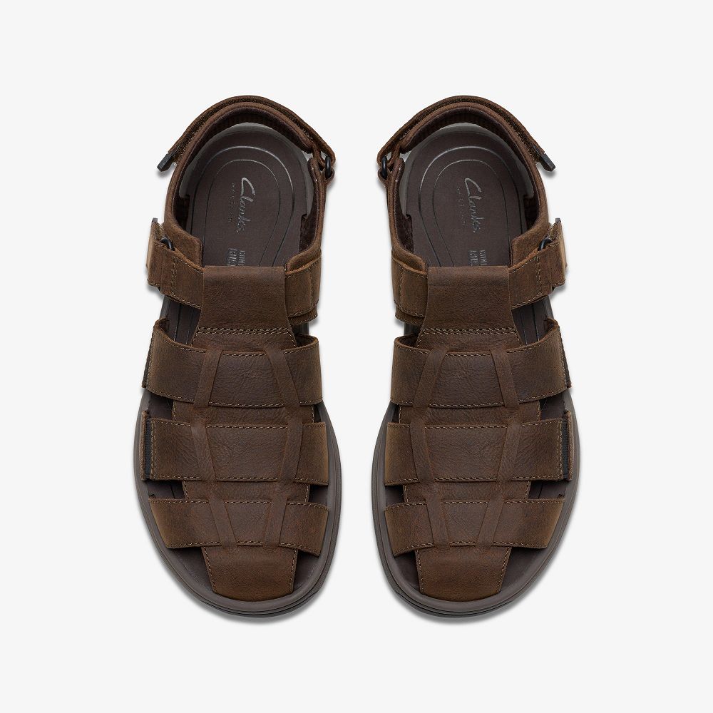 Dark Brown Leather Clarks Saltway Cove Men Sandals | 4531PNBQW