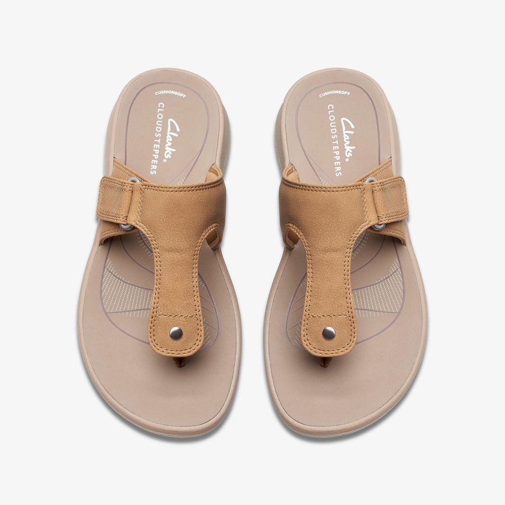 Green Clarks Glide Walk Women Sandals | 1342ZYUXR