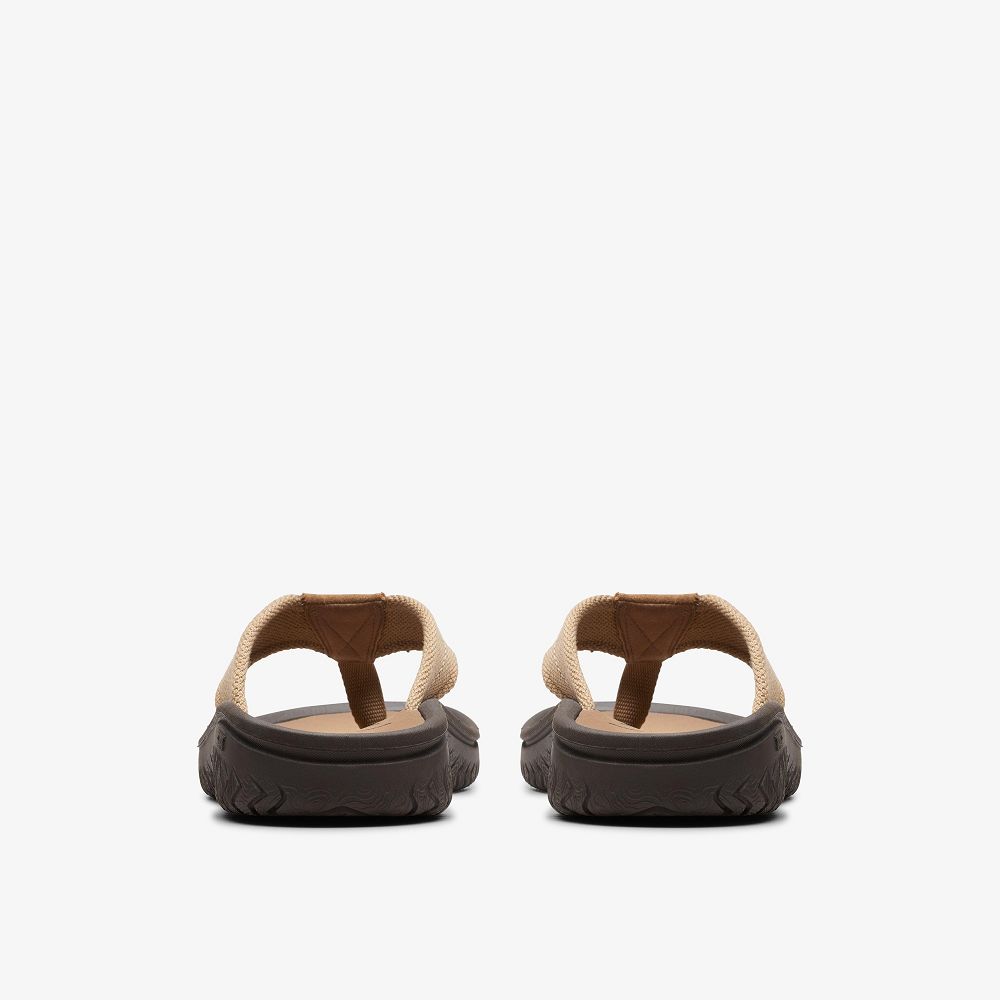 Green Clarks Wesley Men Sandals | 2378TRMAC