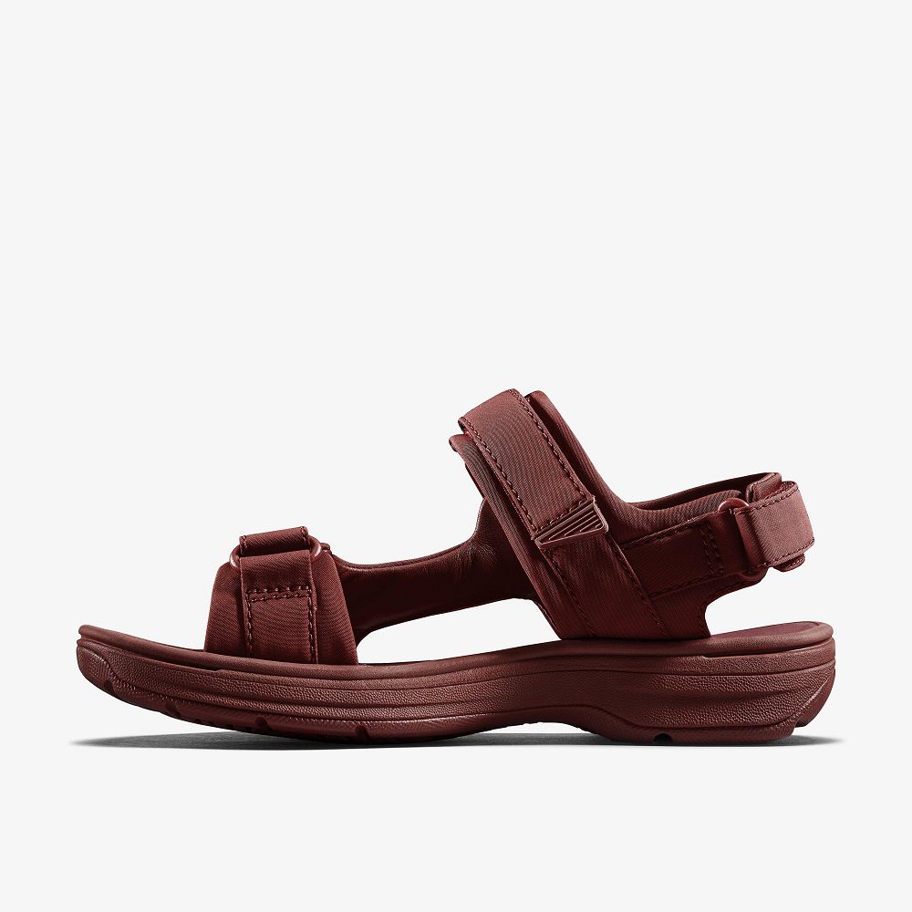 Oxblood Textile Clarks Martine Rose Mens Men Sandals | 3815OBNQC