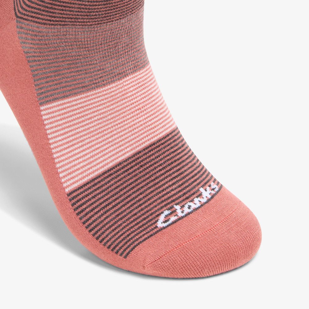 Pink Clarks Multi Thin Stripe Bamboo Men Socks | 8132YFNDH