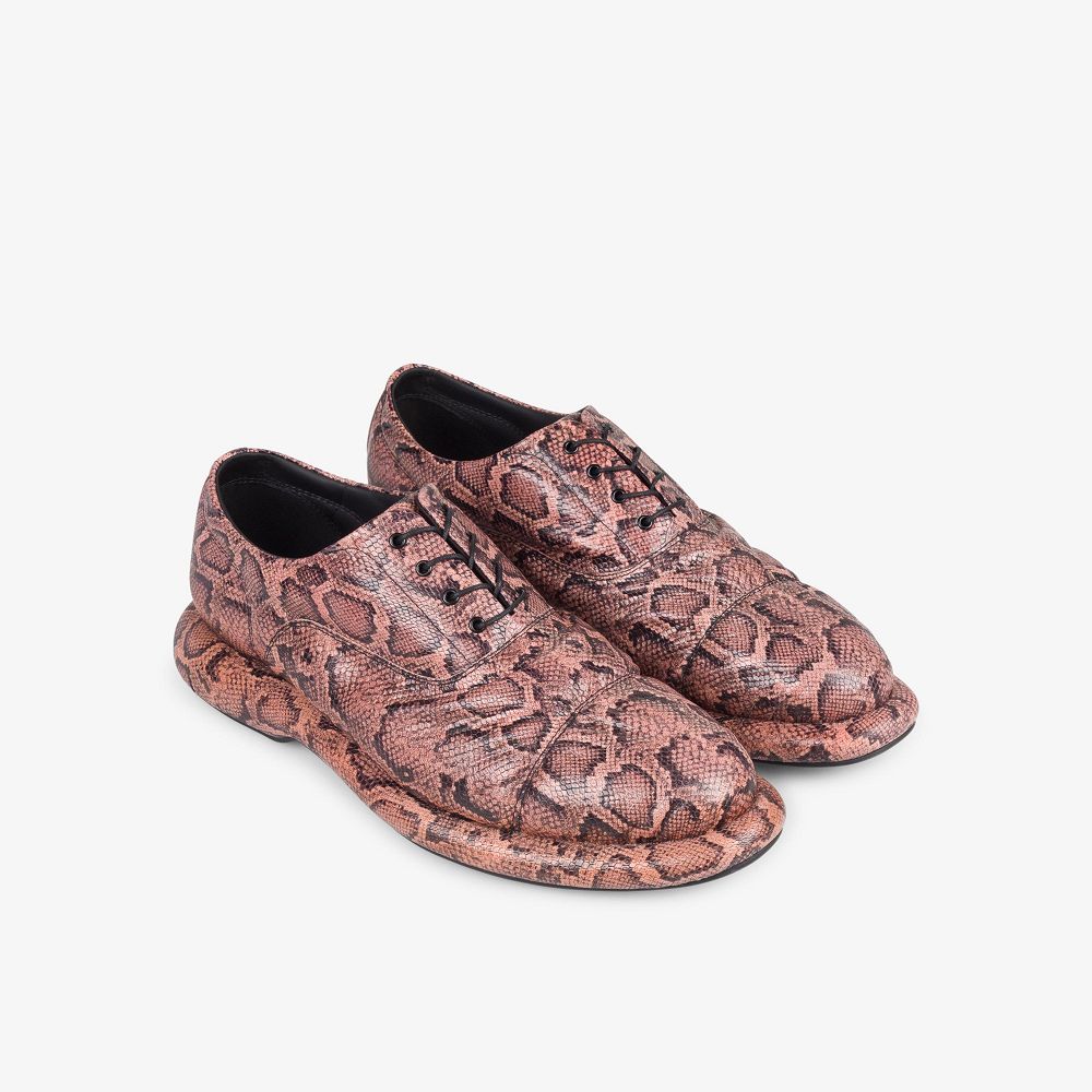 Rose Snake Clarks Martine Rose Women Oxfords | 0327RHSBY