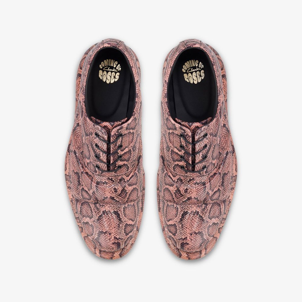 Rose Snake Clarks Martine Rose Women Oxfords | 0327RHSBY