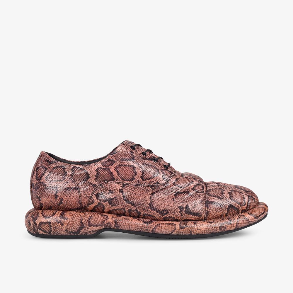 Rose Snake Clarks Martine Rose Women Oxfords | 0327RHSBY