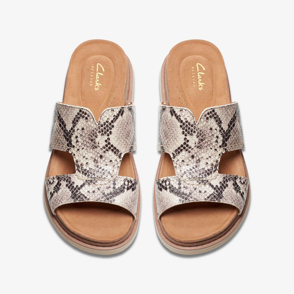 Snake Print Clarks Arwell Walk Women Sandals | 8237DWAGZ