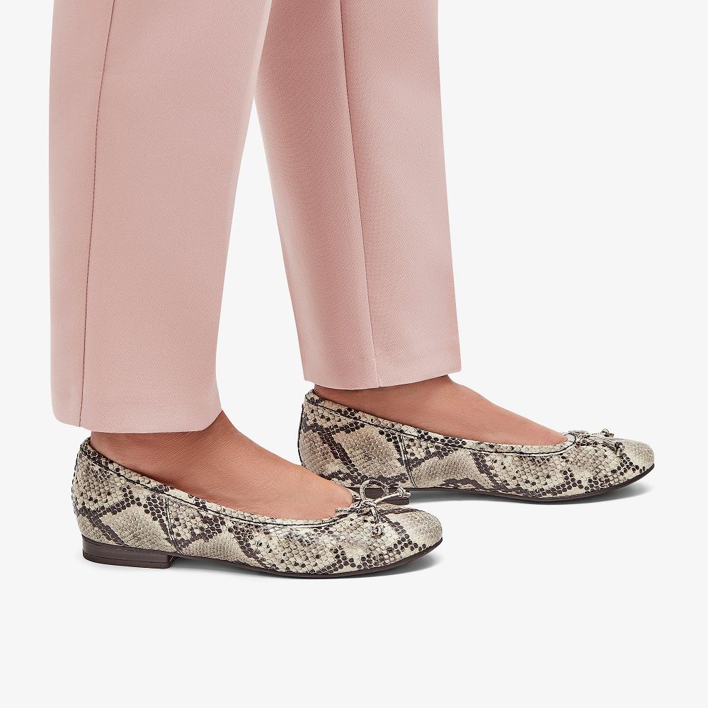 Snake Print Clarks Fawna Lily Women Ballet Flats | 0826PNRAF