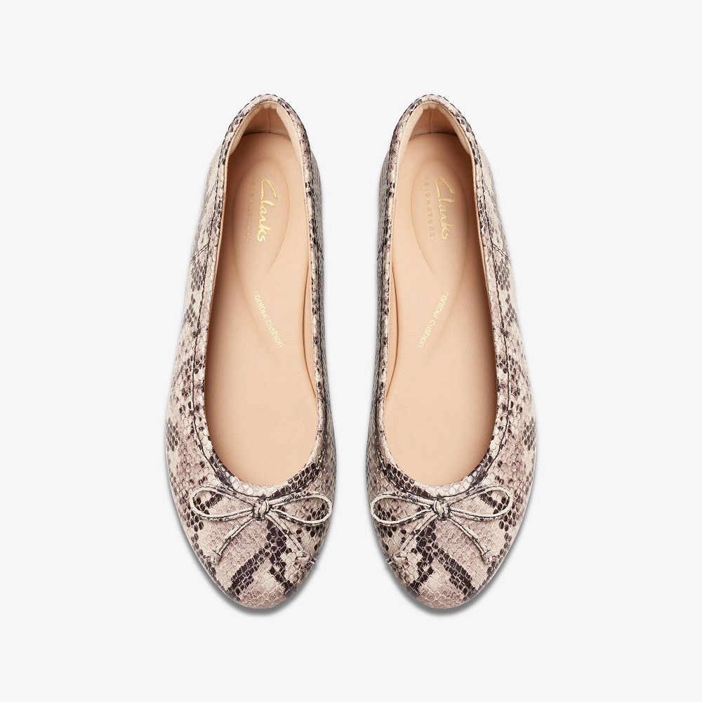 Snake Print Clarks Fawna Lily Women Ballet Flats | 0826PNRAF