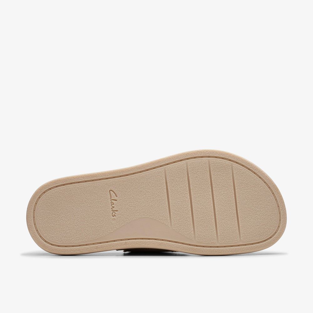 Stone Nubuck Clarks Arwell Walk Women Sandals | 6013UICNT