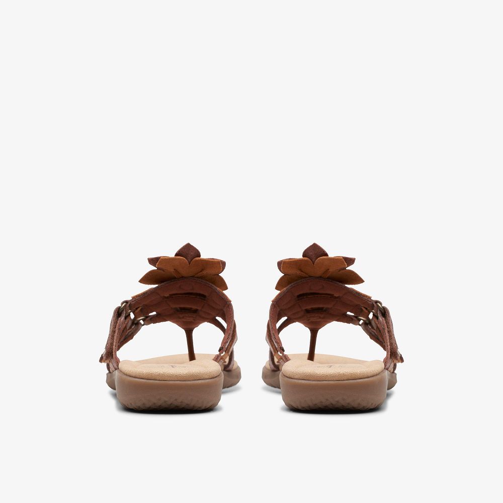 Tan Combination Clarks Elizabelle Mae Women Sandals | 2509ZXRNF