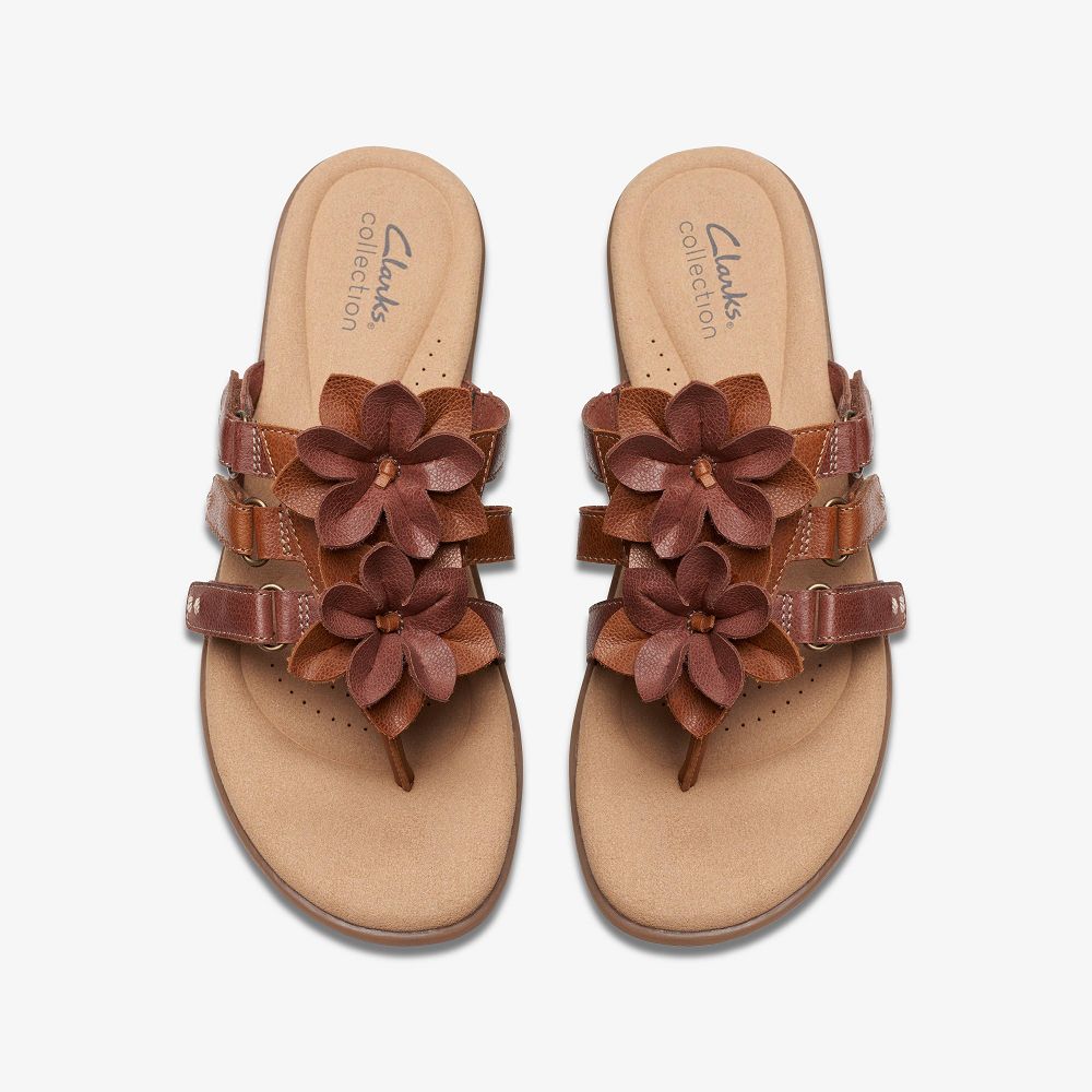 Tan Combination Clarks Elizabelle Mae Women Sandals | 2509ZXRNF