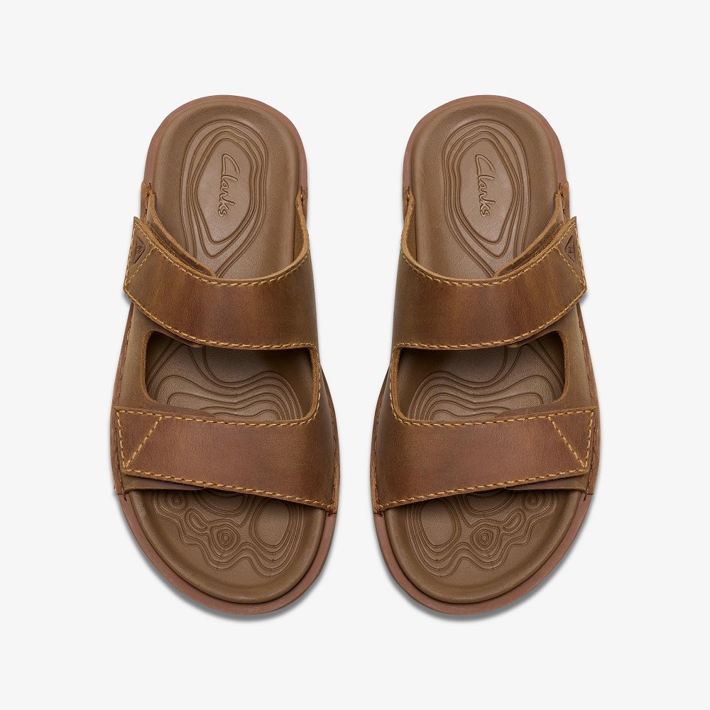 Tan Leather Clarks Litton Strap Men Sandals | 1826LBQNW